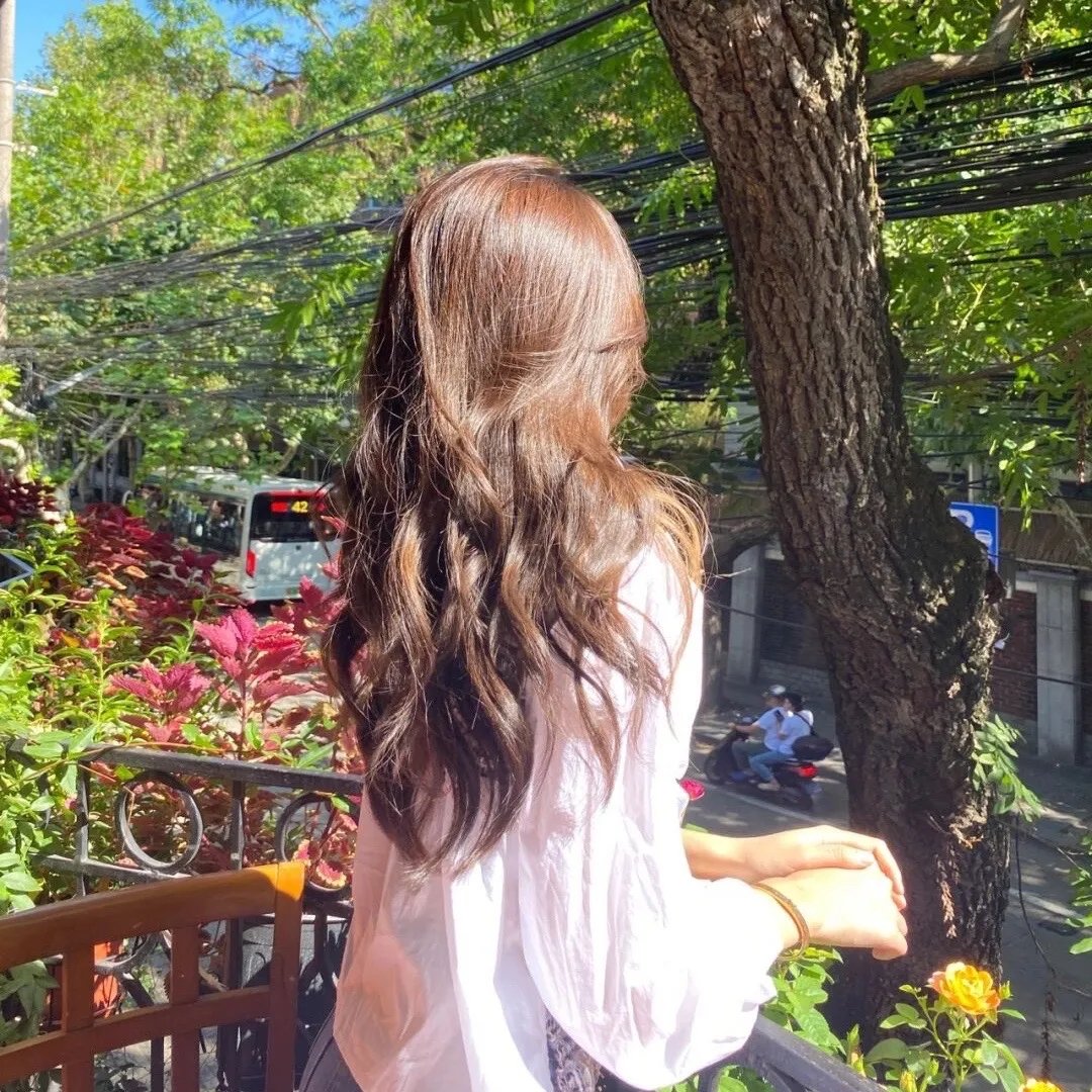 无名草 封面